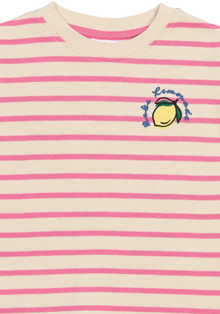 The New TNSTSannah OS S_S Tee Carmine Rose Striped