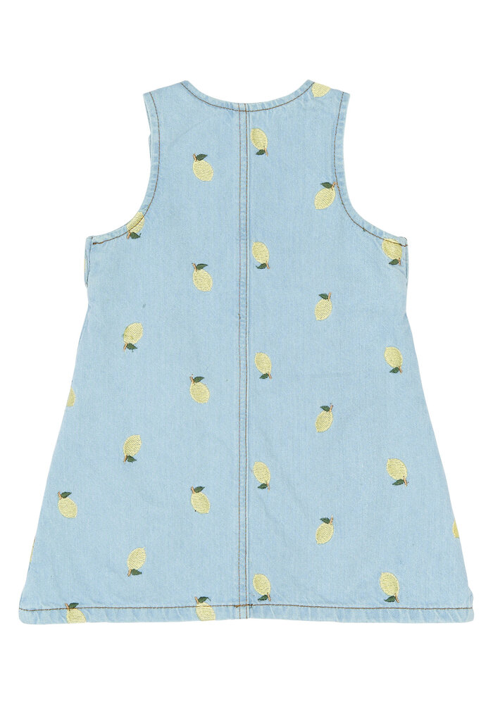 The New TNSTSaja S_L Denim Dress Light Blue Denim EMB