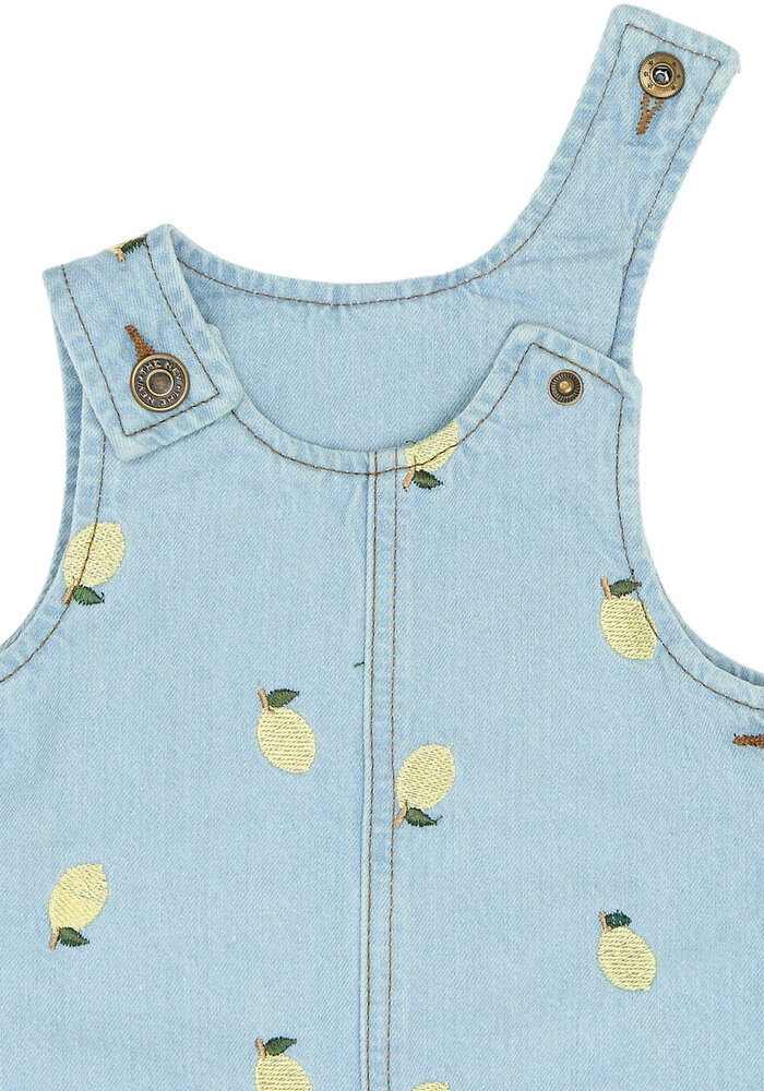 The New TNSTSaja S_L Denim Dress Light Blue Denim EMB