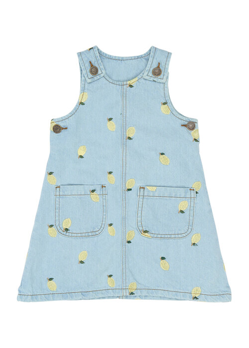 The New The New TNSTSaja S_L Denim Dress Light Blue Denim EMB