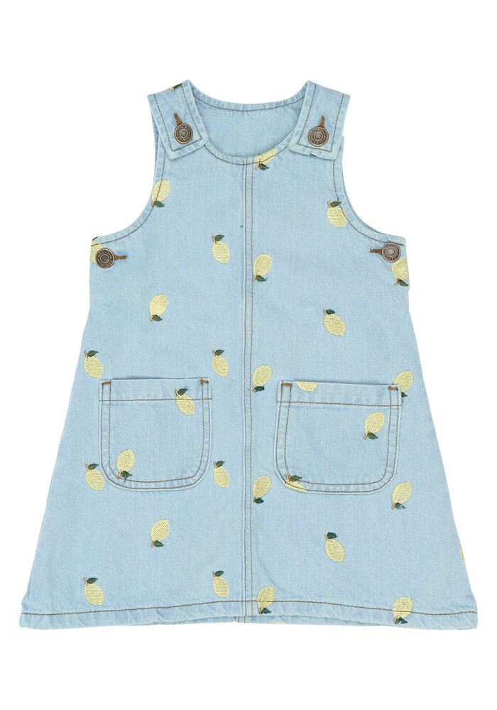 The New TNSTSaja S_L Denim Dress Light Blue Denim EMB