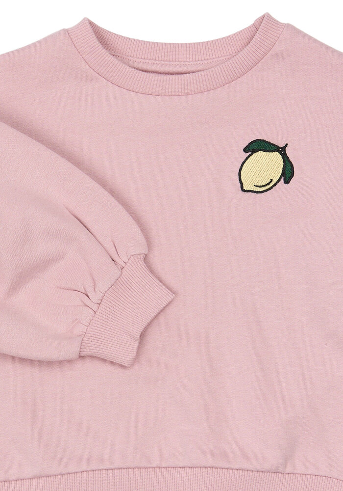 The New TNSTSapphire OS Sweatshirt Silver Pink