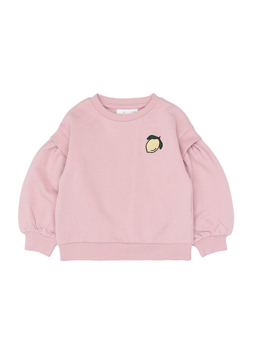 The New The New TNSTSapphire OS Sweatshirt Silver Pink