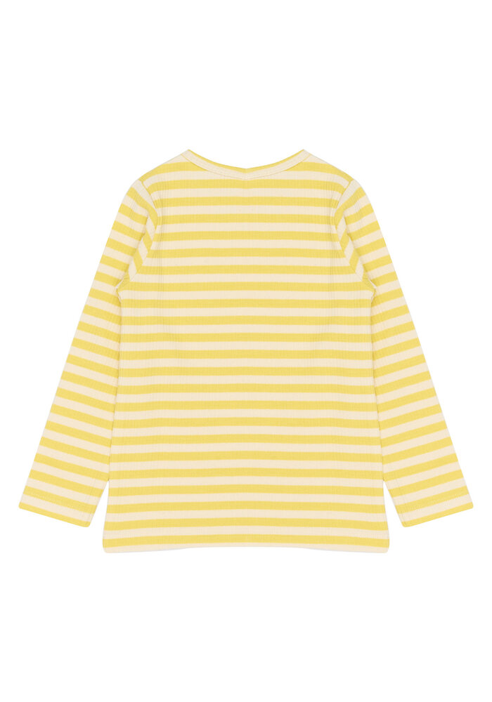 The New TNSTFro L_S Rib Tee Dusky Citron Striped