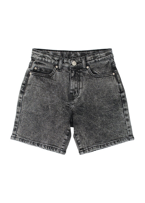 The New The New TNJosh Denim Shorts LIGHT GREY DENIM