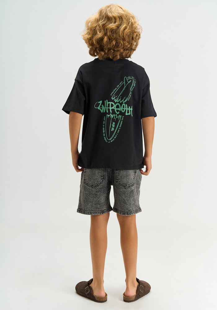 The New TNJosh Denim Shorts LIGHT GREY DENIM