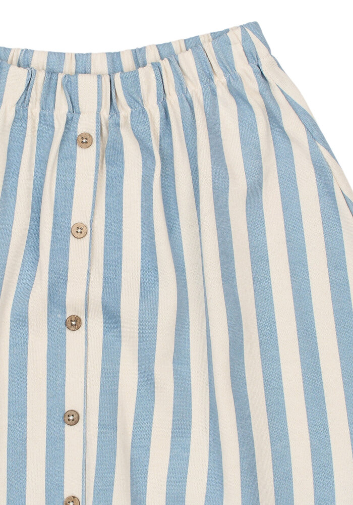 The New TNTalia Skirt Forever Blue Striped