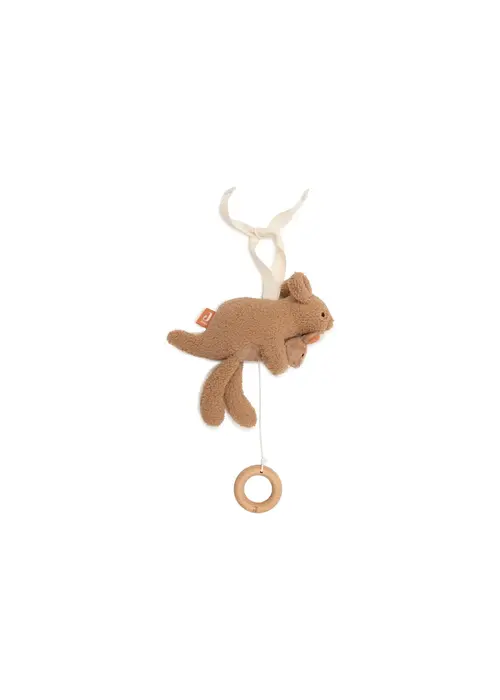 Jollein Jollein  Muziekhanger - Kangaroots