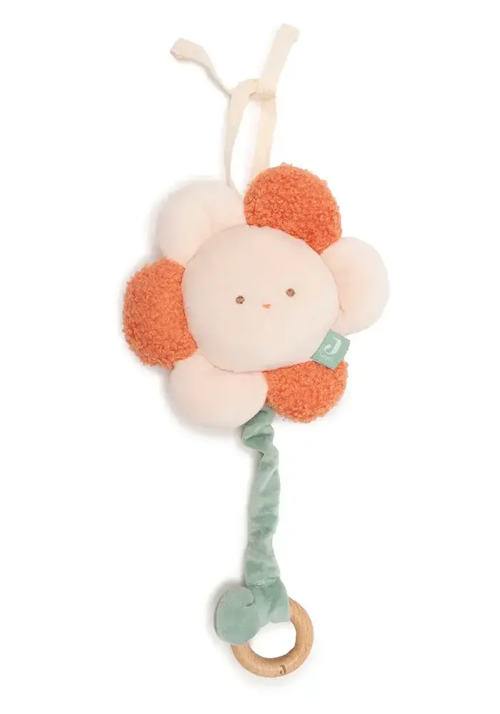 Jollein Muziekhanger - Pretty Picnic