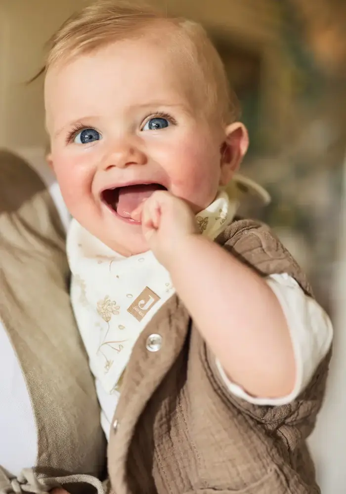 Jollein Bib Bandana Leafy Dreams 2-pack