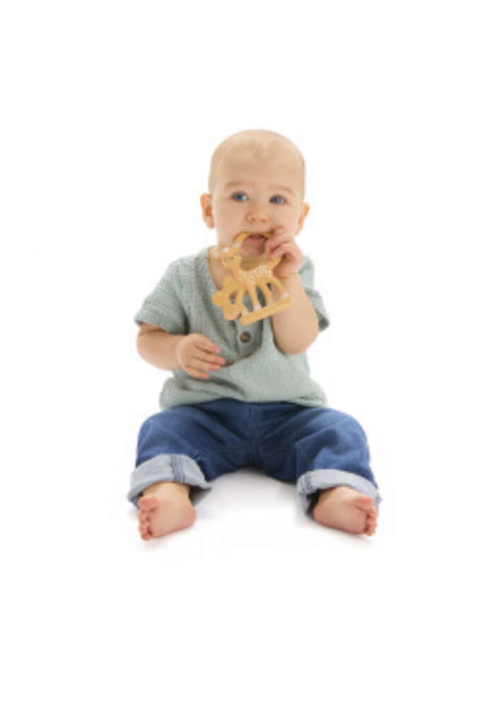 Fanfan het hertje bijtring