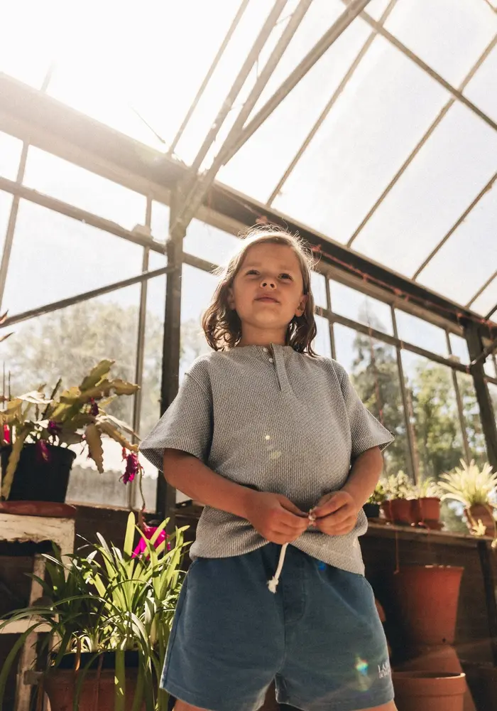 Labo de colores Loay Blue light