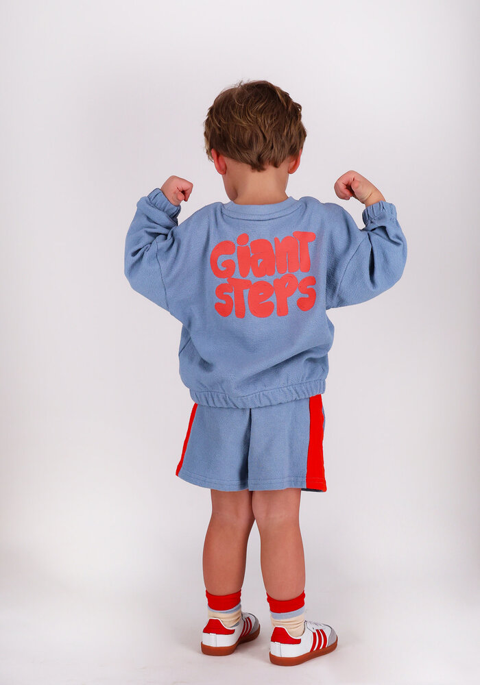 The New Chapter sweater Bobbie Wild blue