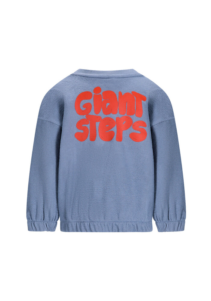 The New Chapter sweater Bobbie Wild blue