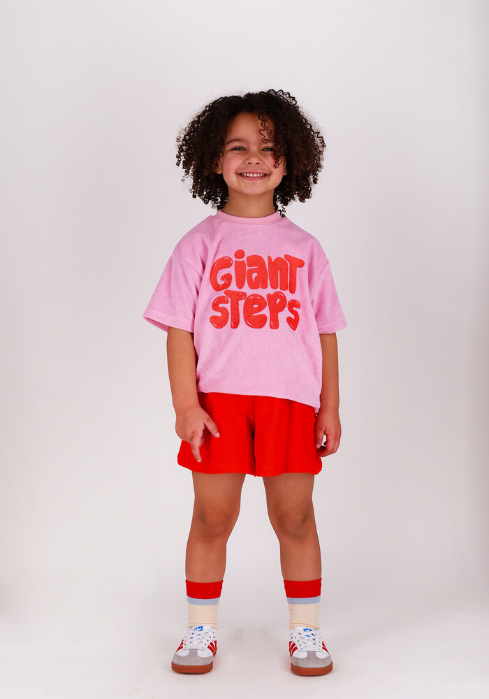 The New Chapter T-shirt Bo Mauve Mist II