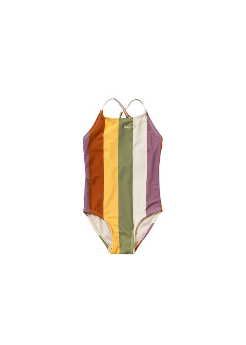 Salted Stories Salted Stories Multi Stripe | Swimsuit Multicolor
