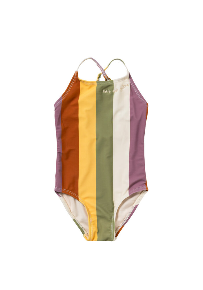 Salted Stories Multi Stripe | Swimsuit Multicolor