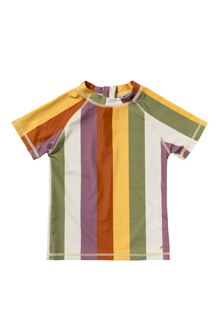 Salted Stories Multi Stripe | Swim Tee Multicolor