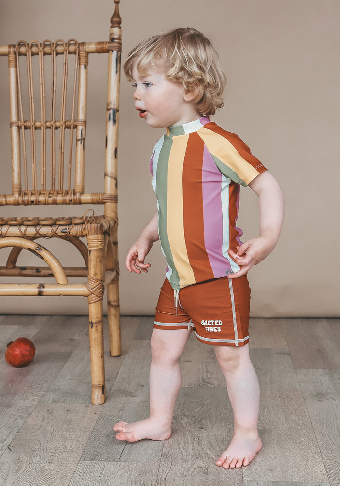 Salted Stories Multi Stripe | Swim Tee Multicolor
