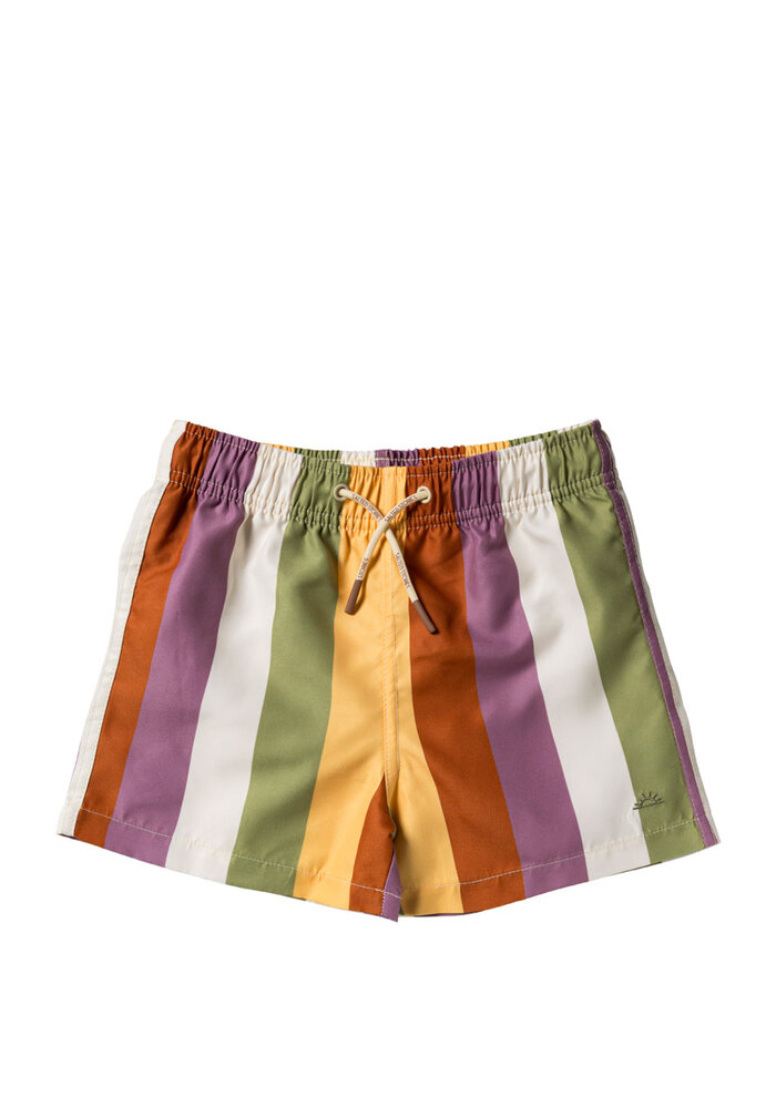Salted Stories Multi Stripe | Swim Shorts Multicolor