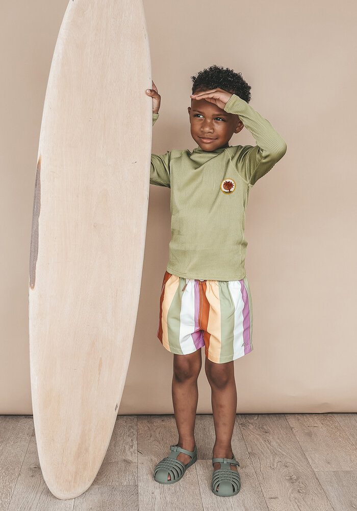 Salted Stories Multi Stripe | Swim Shorts Multicolor