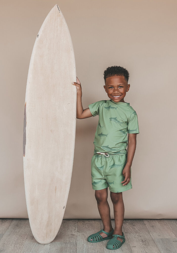 Salted Stories Shark | Swim Tee Iguana