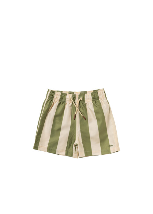 Salted Stories Salted Stories Wide Stripe | Swim Shorts Iguana