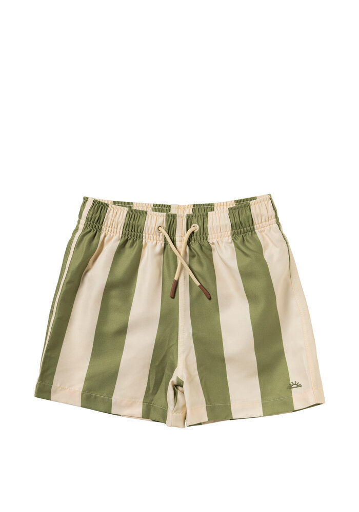 Salted Stories Wide Stripe | Swim Shorts Iguana