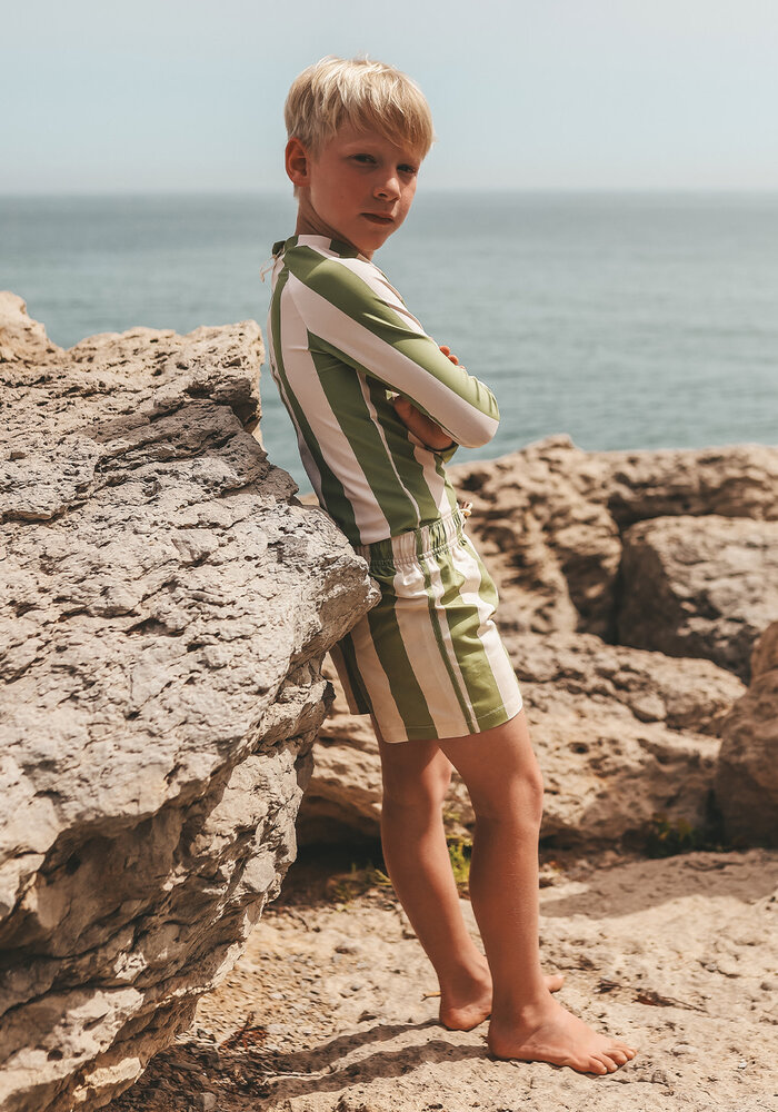 Salted Stories Wide Stripe | Swim Shorts Iguana