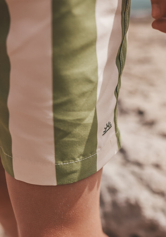 Salted Stories Wide Stripe | Swim Shorts Iguana