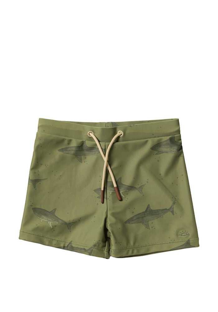 Salted Stories Shark | Swim Trunks Iguana