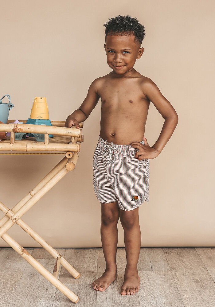 Salted Stories Seersucker | Swim Shorts Bombay Brown