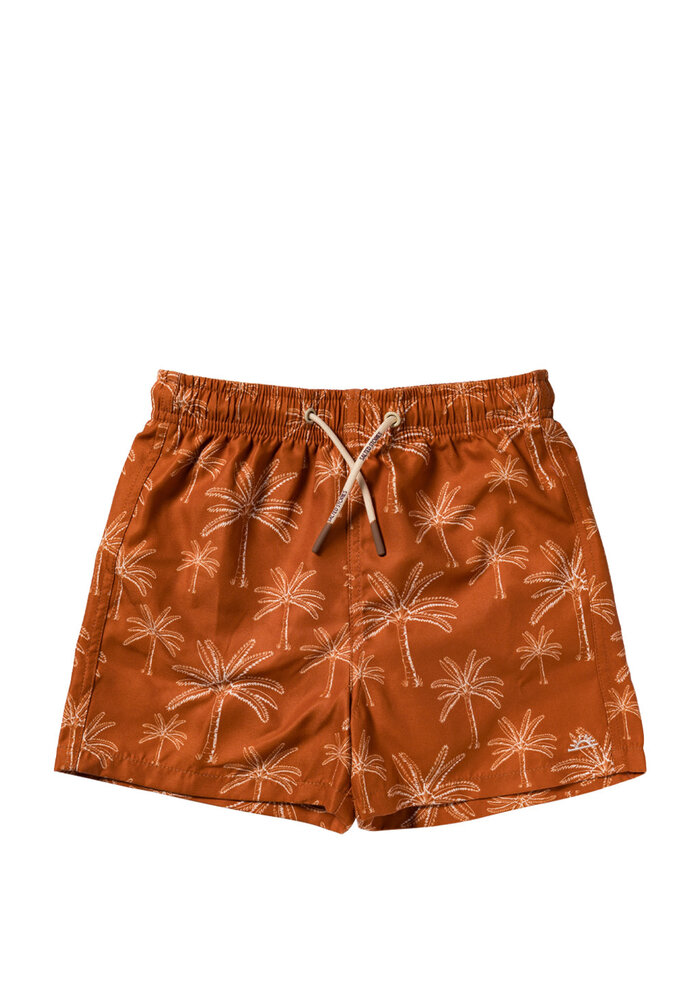 Salted Stories Palms | Swim Shorts Bombay Brown