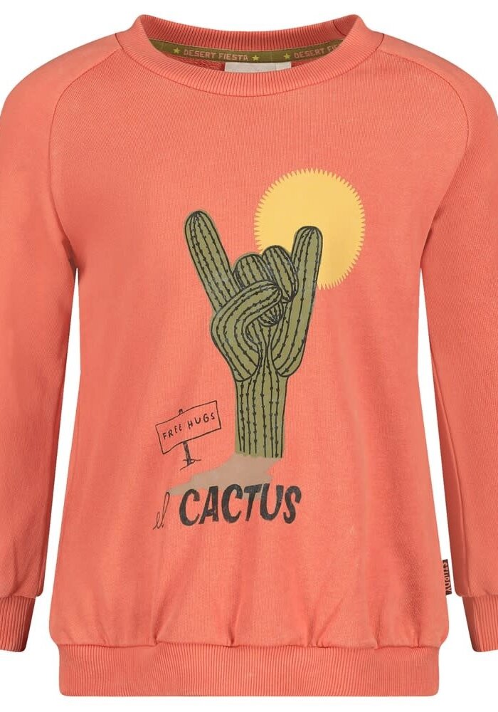 Sturdy Sweater - Desert Fiesta Koraal