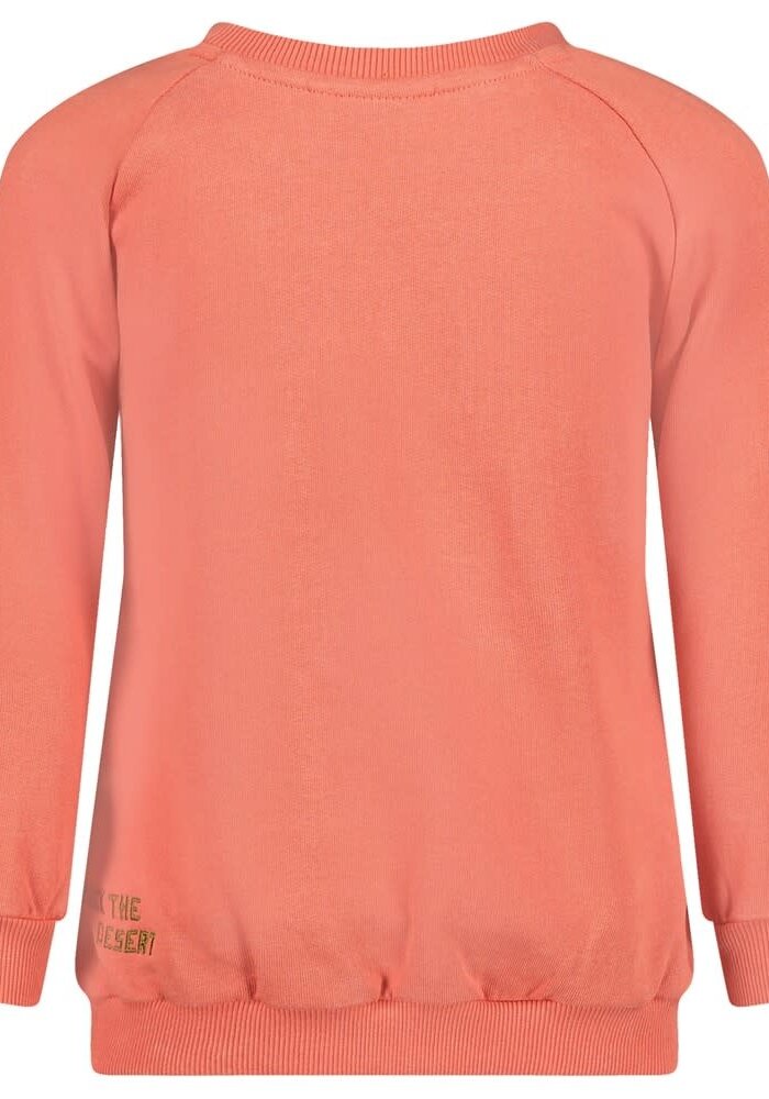 Sturdy Sweater - Desert Fiesta Koraal