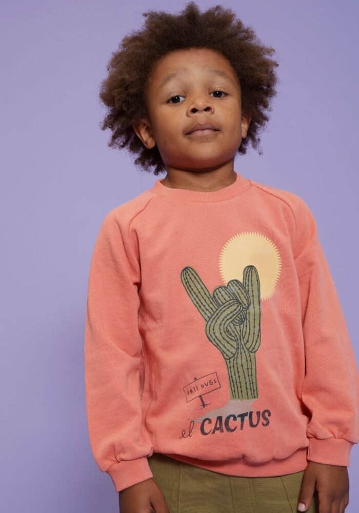 Sturdy Sweater - Desert Fiesta Koraal