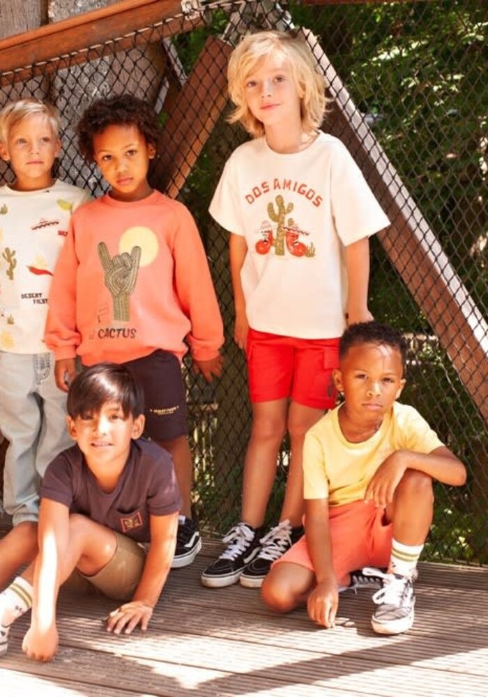 Sturdy Sweater - Desert Fiesta Koraal