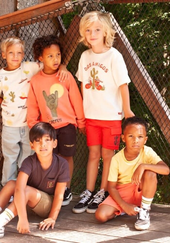 Sturdy Sweater - Desert Fiesta Koraal