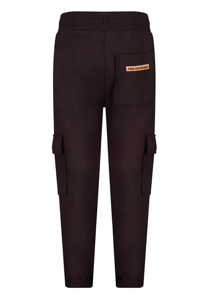 Sturdy Broek - Desert Fiesta d.Bruin
