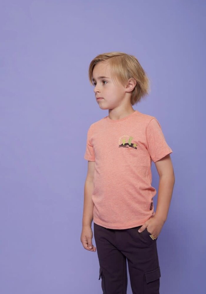 Sturdy Broek - Desert Fiesta d.Bruin