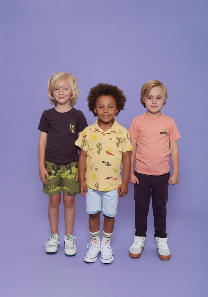 Sturdy Broek - Desert Fiesta d.Bruin