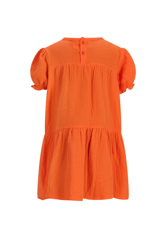 The New Chapter dress Coco Grenadine