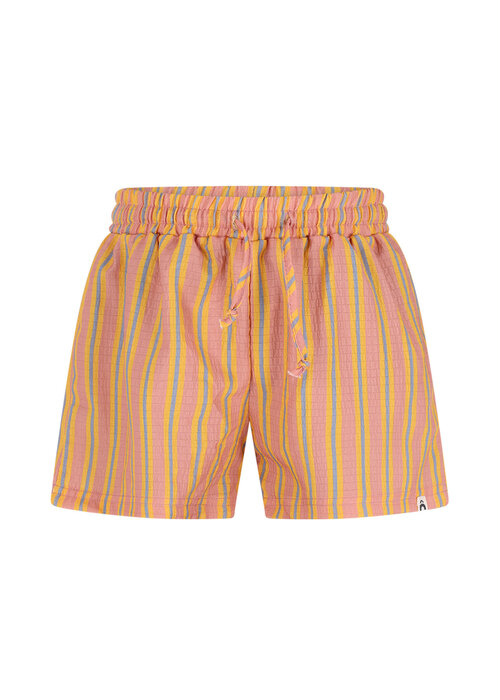 The New Chapter The New Chapter pants Juul Solshine Stripes