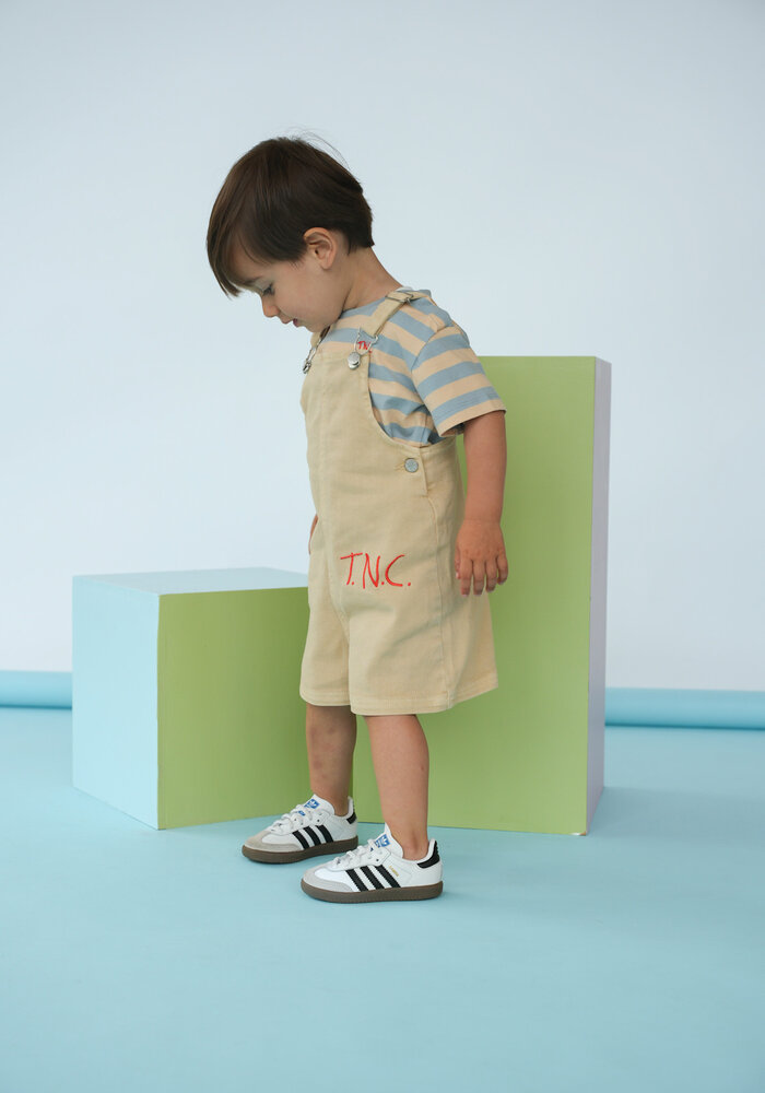 The New Chapter T-shirt Bo Blue Beige Stripes