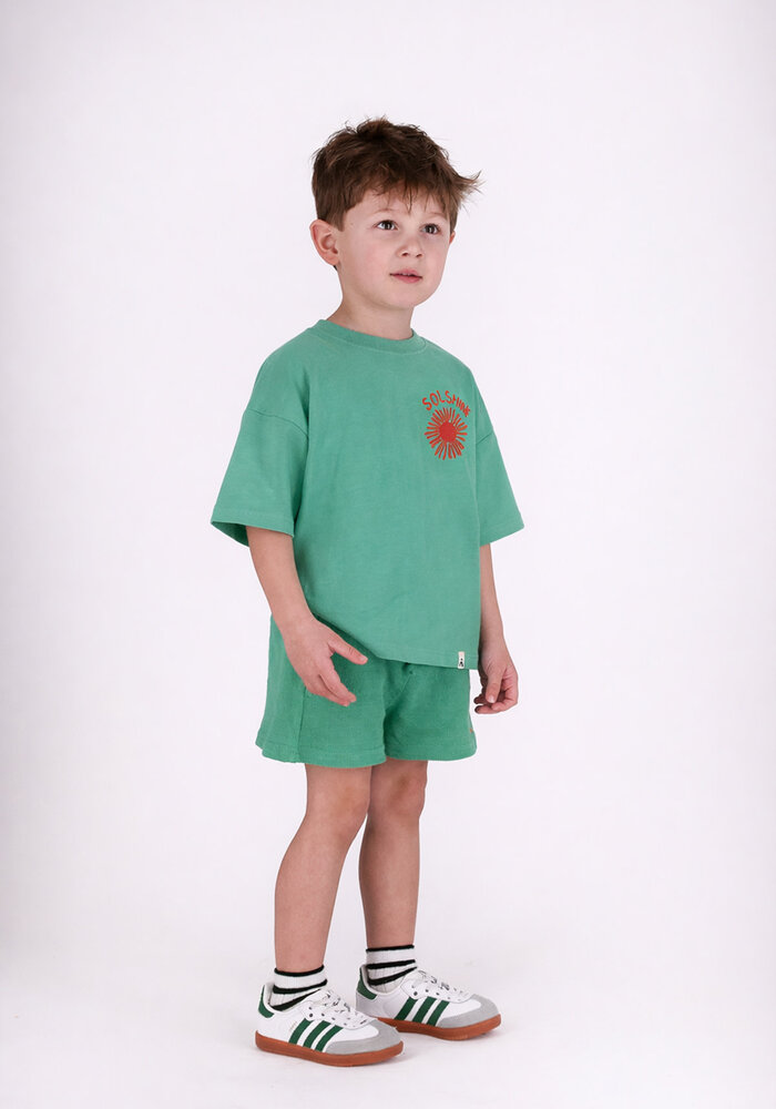 The New Chapter T-shirt Bo Green spruce