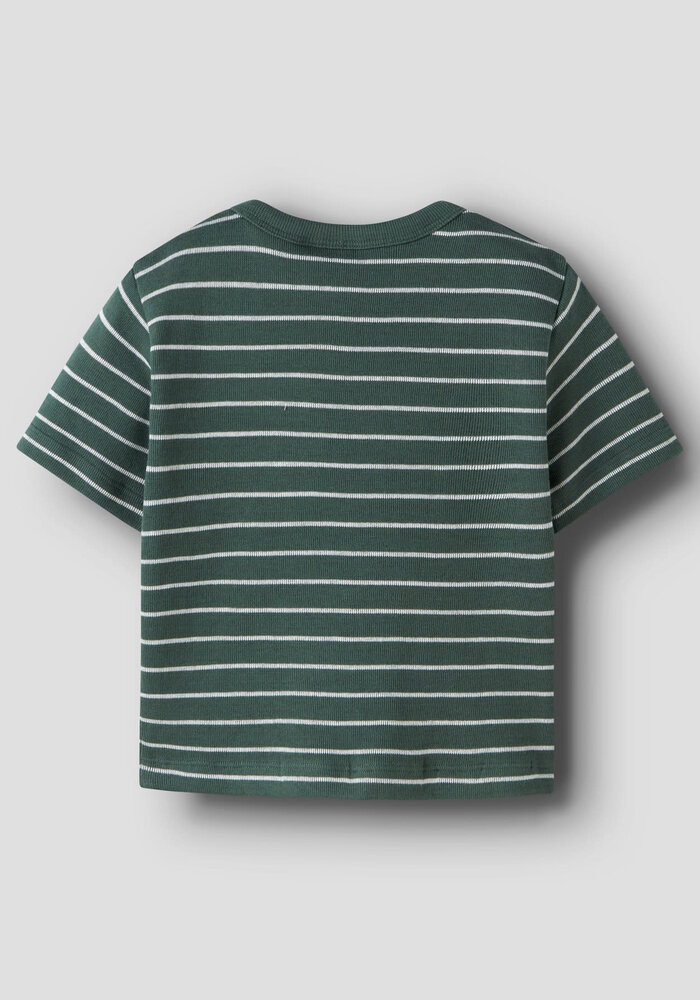 name it NMMHAKAN SS NREG TOP Garden Topiary