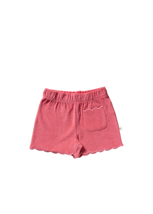Your Wishes Your Wishes Terry | Shorts Rapture Rose