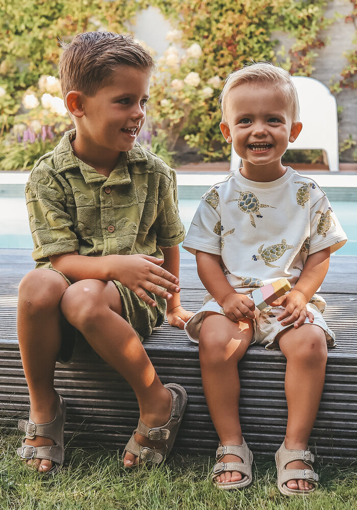 Your Wishes Wave | Relaxed Shorts Iguana