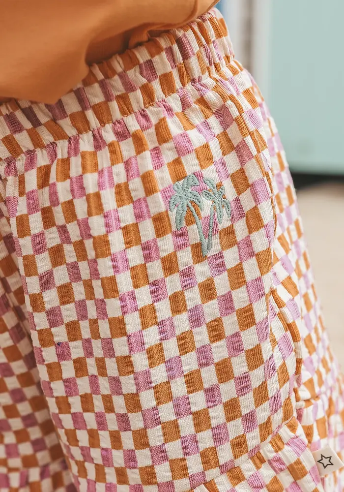 Your Wishes Mini Check | Wide Shorts Multicolor