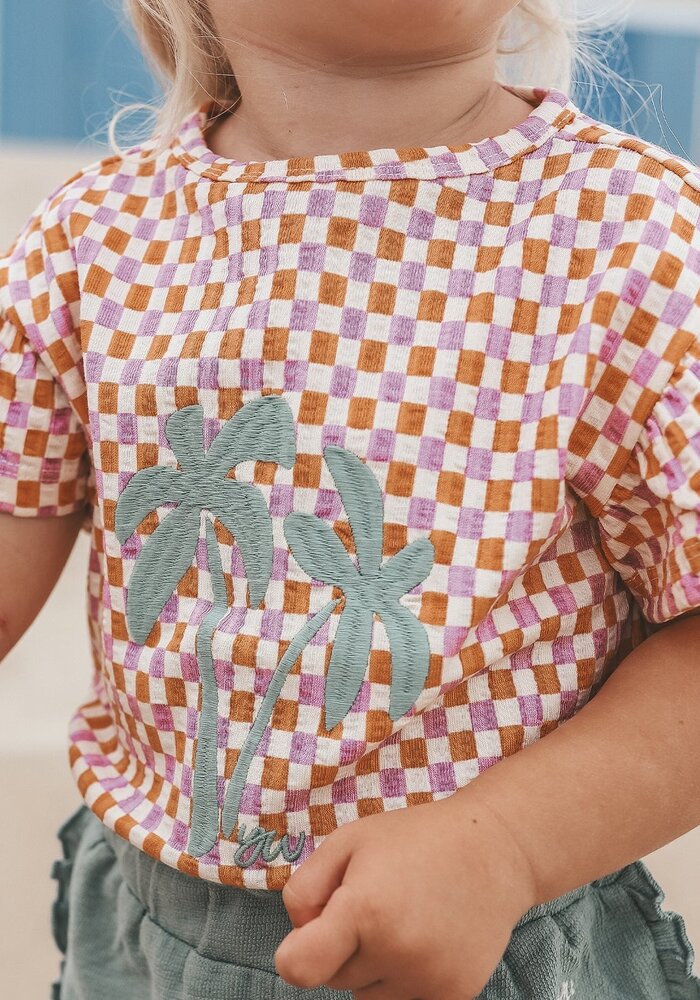 Your Wishes Mini Check | Ruffle Shirt Multicolor